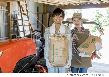 Country life   44178013