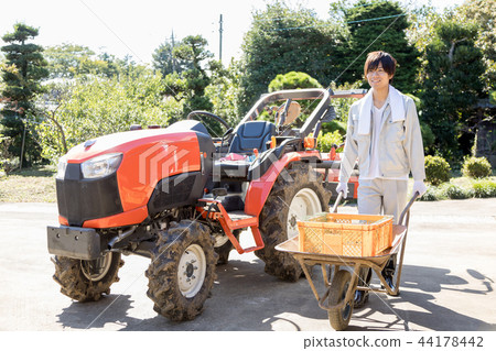 Country life   44178442