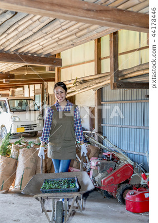 Country life   44178446