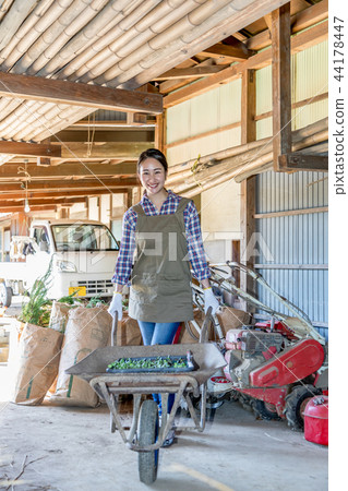 Country life Country life 44178447