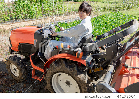 Country life   44178504