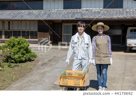 Country life   44178692