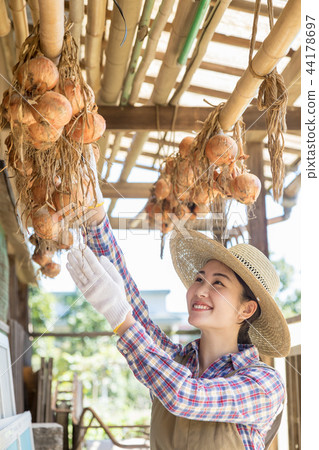 鄉村生活 44178697