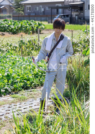 鄉村生活 44178800