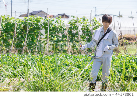 鄉村生活 44178801