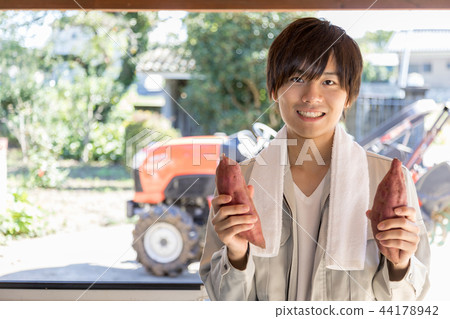 Country life Country life 44178942