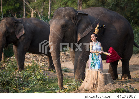 Thai girl with elephant 44178998