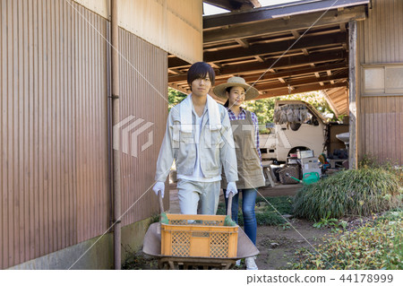 Country life   44178999