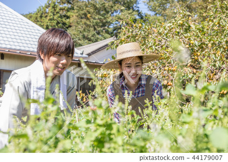 Country life Country life 44179007