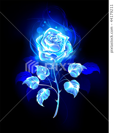 Burning blue rose 44179211