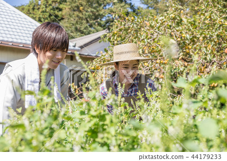 Country life   44179233