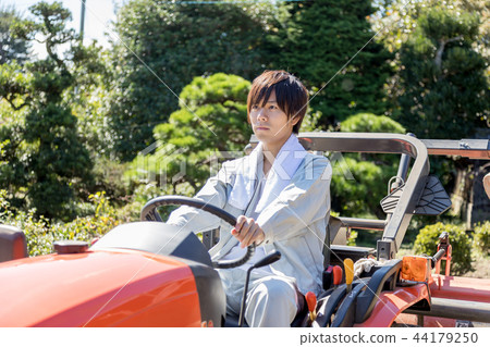 Country life   44179250