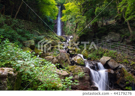 Yoro no Waterfall 44179276