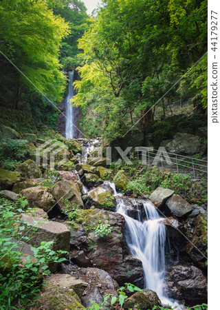 Yoro no Waterfall 44179277