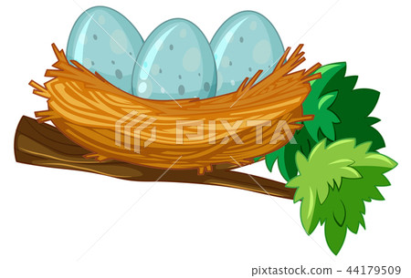 Egg on the nest Egg on the nest 44179509
