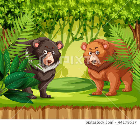 Bears in the jungle 44179517