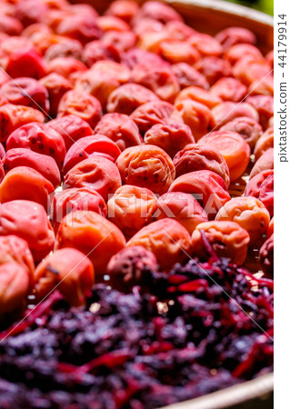 梅花為地球乾燥 44179914