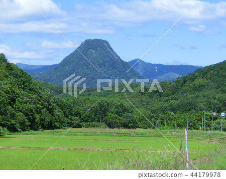 Golden Mountain in spring, taken on June 15, 2018 44179978