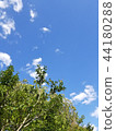 天空 44180288