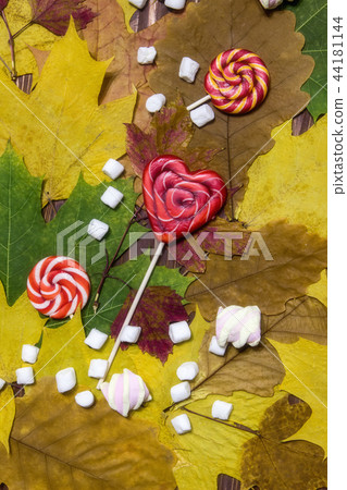 Bright autumn leaves marshmallow and candy Bright autumn leaves marshmallow and candy 44181144