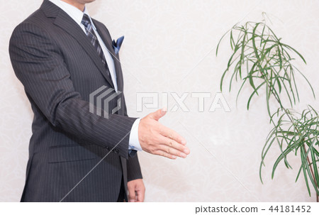 尋求握手的商人 44181452