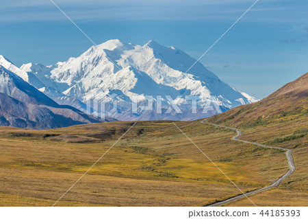阿拉斯加德納利國家公園（麥金利）德納利國家公園 44185393