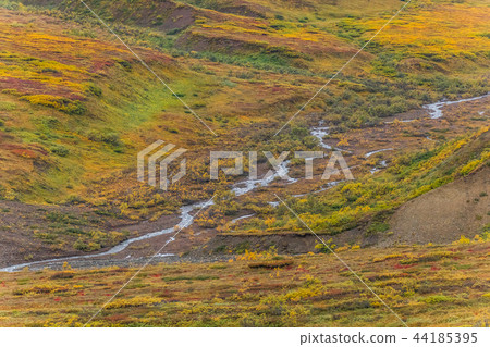 阿拉斯加德納利國家公園（麥金利）德納利國家公園 44185395