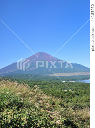 Mt. Fuji from the panorama stand-4469 Mt. Fuji from the panorama stand-4469 44185930