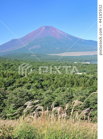 Mount Fuji 4471 from the panorama stand Mount Fuji 4471 from the panorama stand 44185932