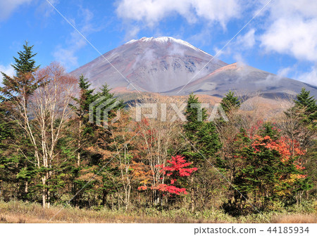 Autumn leaves of Mizugatsuka Park and Mt. Fuji-4489 Autumn leaves of Mizugatsuka Park and Mt. Fuji-4489 44185934