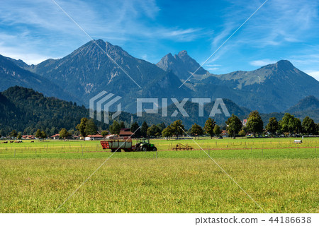 Countryside and Alps - Bavaria Schwangau Germany 44186638