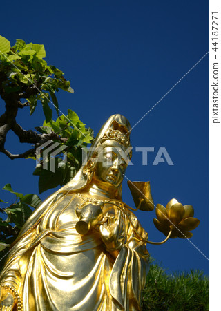 佐野護身符大師觀音 佐野護身符大師觀音 44187271