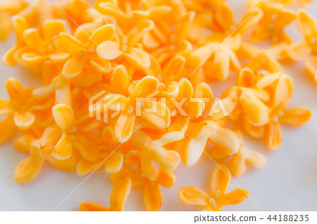 Kinmokusei Kinmokusei 44188235