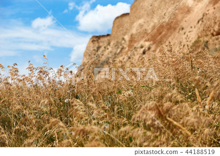 high coast by the sea, beautiful coastal landscape 44188519