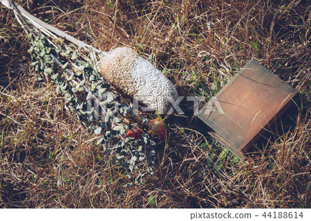 Bouquets and books 44188614