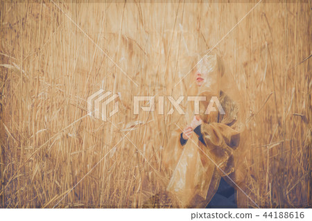 Golden Prairie Golden Prairie 44188616
