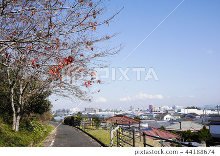 宮崎 44188674