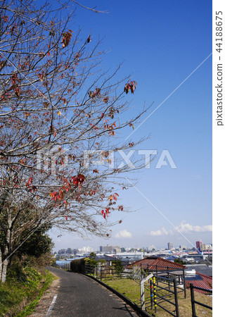 宮崎 宮崎 44188675