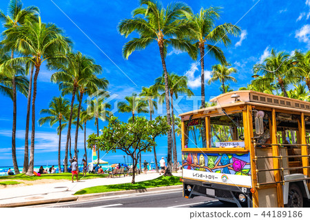 "Hawaii" Waikiki beach, palm trees and blue sky "Hawaii" Waikiki beach, palm trees and blue sky 44189186