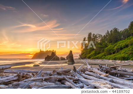Olympic National Park, Washington, USA 44189702