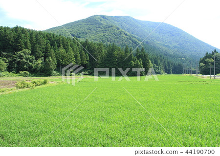 Satoyama Satoyama 44190700