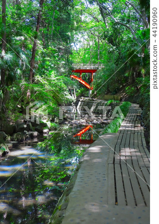 [Tokyo] Yutozumi Valley 44190960