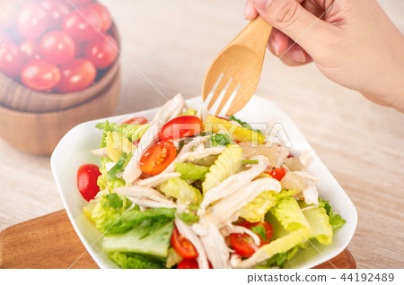 ha霾肉原料撒哈拉大沙漠雞肉沙拉雞肉沙拉 44192489