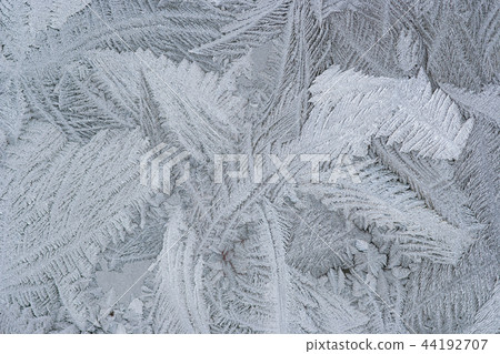 Frost flower on the window Frost flower on the window 44192707