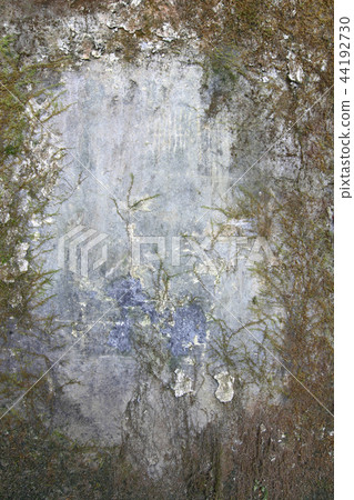 Old wall covered with moss and mold Old wall covered with moss and mold 44192730