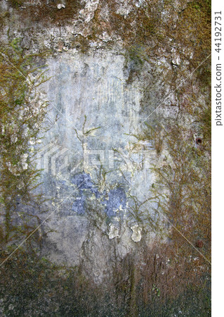 Old wall covered with moss and mold - frame Old wall covered with moss and mold - frame 44192731