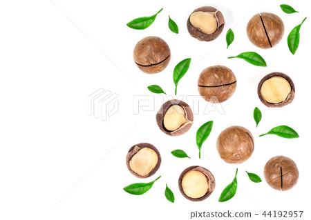 Shelled and unshelled macadamia nuts isolated on white background with copy space for your text. Top Shelled and unshelled macadamia nuts isolated on white background with copy space for your text. Top 44192957