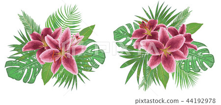 Vector floral bouquet design. Set burgundy lily Vector floral bouquet design. Set burgundy lily 44192978
