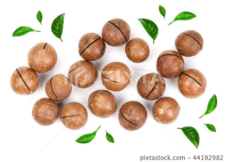 unshelled macadamia nuts isolated on white background. Top view. Flat lay pattern 44192982
