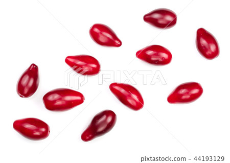 Red berries of cornel or dogwood isolated on white background with copy space for your text. Top Red berries of cornel or dogwood isolated on white background with copy space for your text. Top 44193129